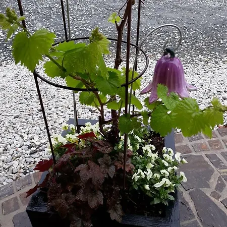 Russhof-fam.thomann 3* Stainz